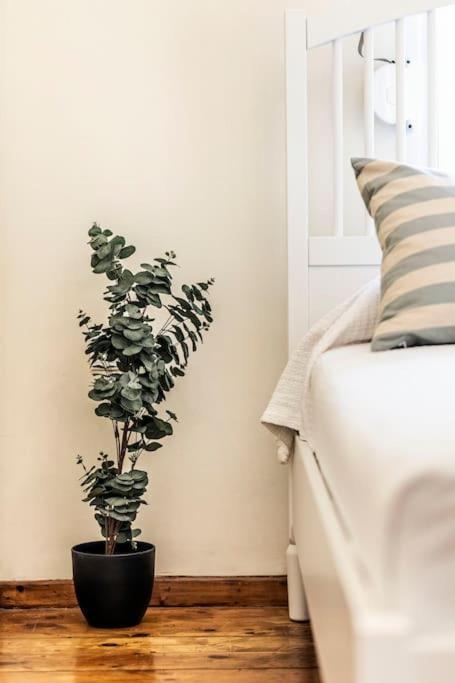 Diana'S Centrally Located Apt@ Old Town Of Corfu Corfu  ภายนอก รูปภาพ